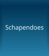 Schapendoes